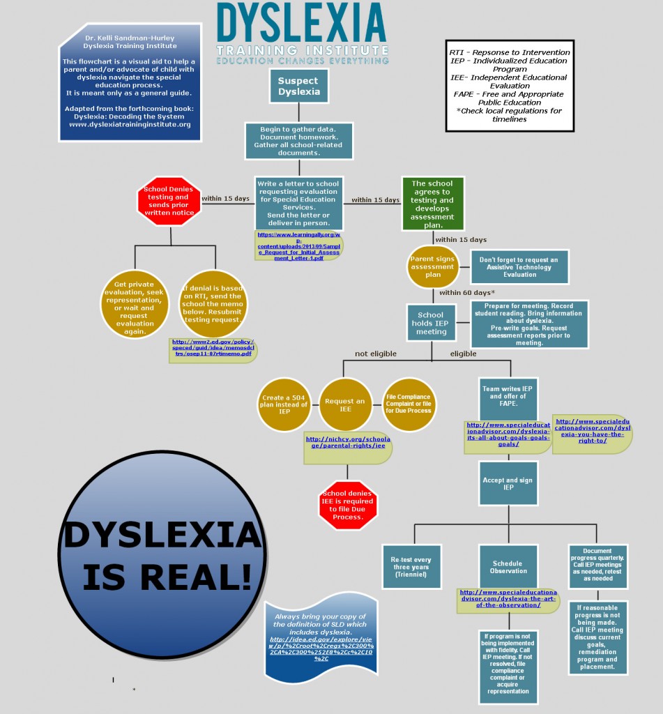 Navigating the Special Education Process Infographic by The Dyslexia Training Institute