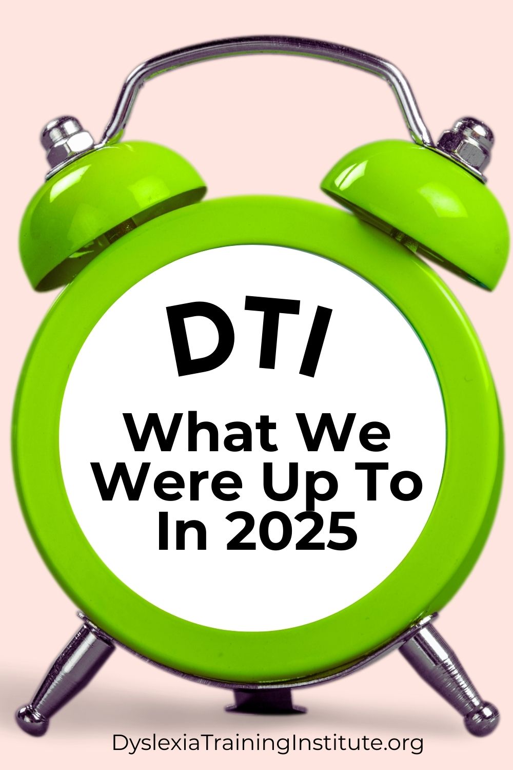 DTI WHAT WE WERE UP TO IN 2025